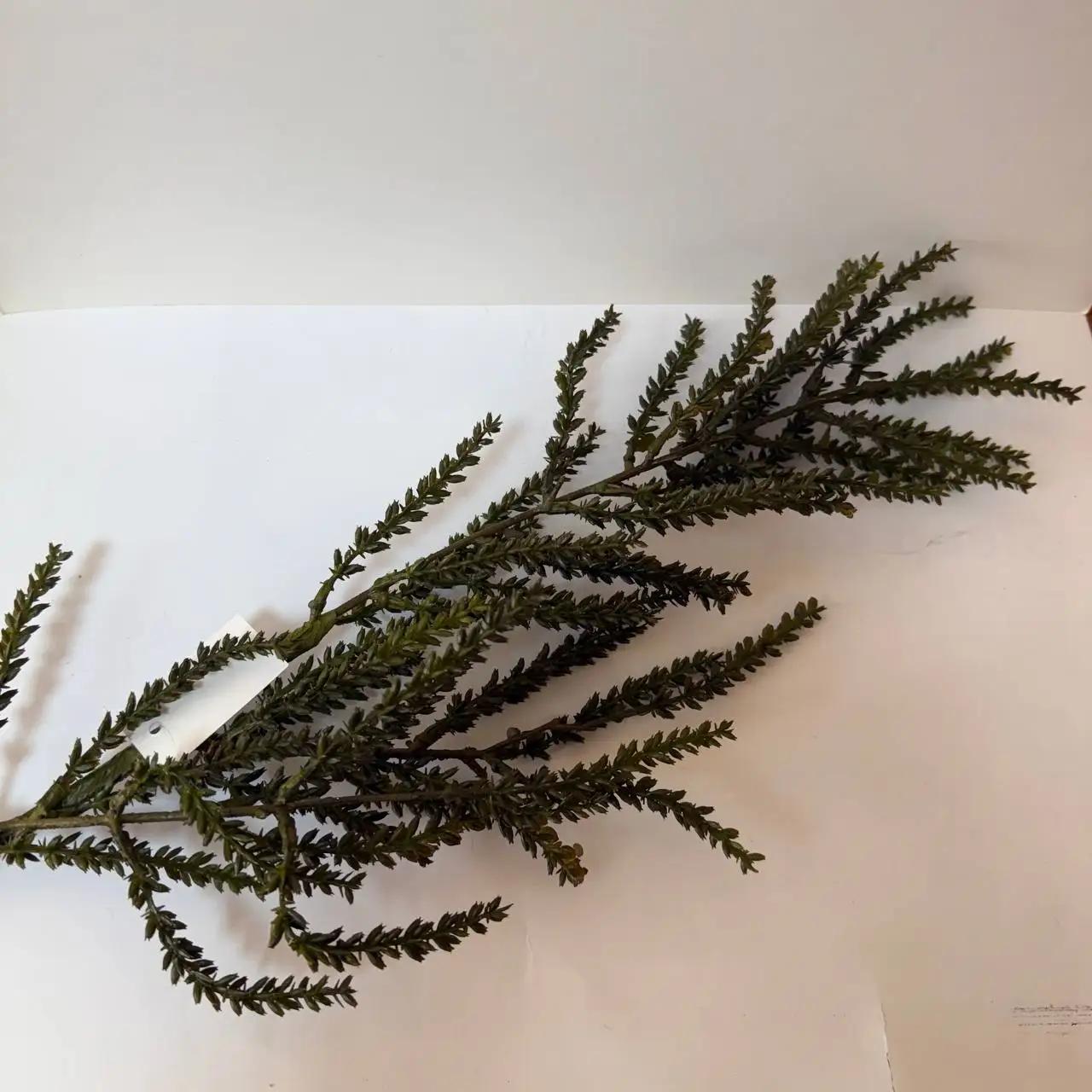 Декоративная ветка «Autumn Calm», 70 см зеленая